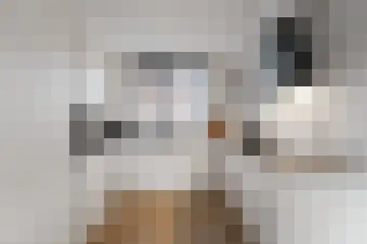 Kruiszwin 5107 Julianadorp thumbnail 11