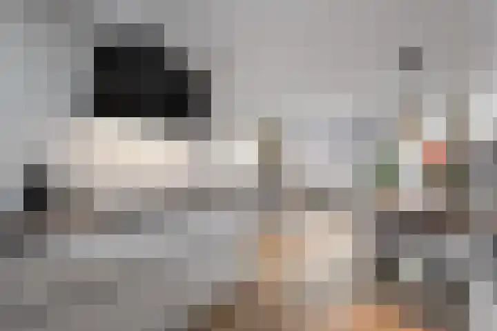 Kruiszwin 5107 Julianadorp thumbnail 12