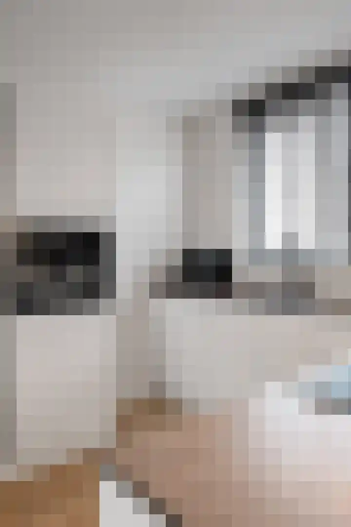 Kruiszwin 5107 Julianadorp thumbnail 14
