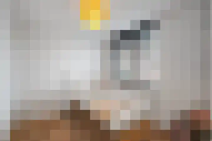 Kruiszwin 5107 Julianadorp thumbnail 16