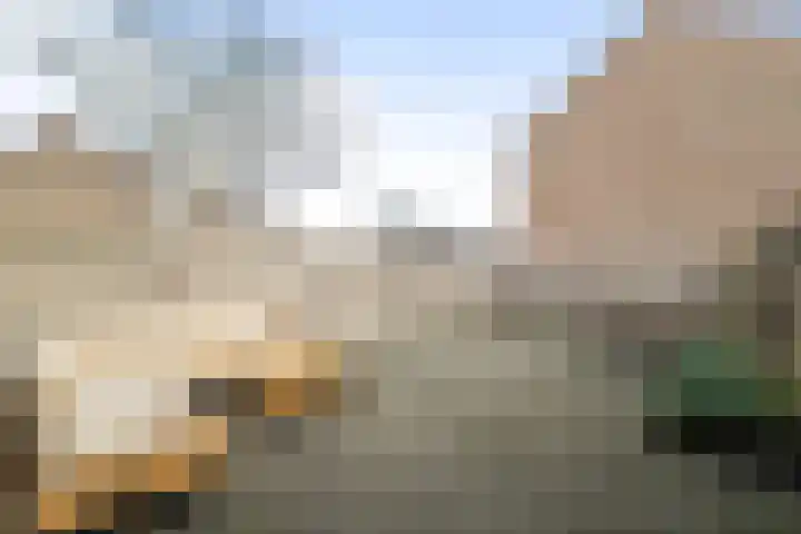 Kruiszwin 5107 Julianadorp thumbnail 22