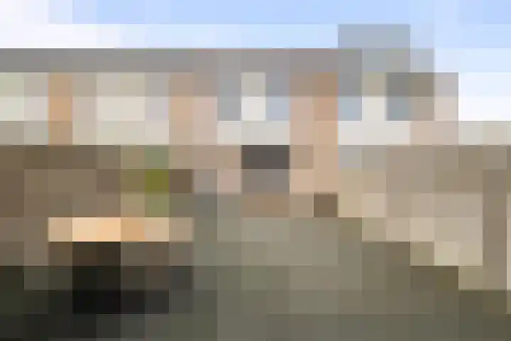 Kruiszwin 5107 Julianadorp thumbnail 23
