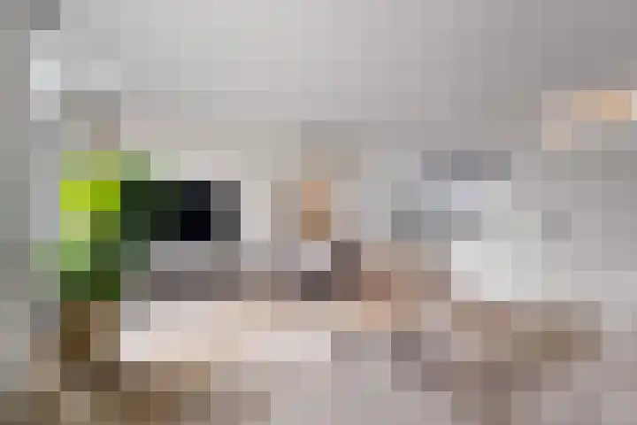 Kruiszwin 5107 Julianadorp thumbnail 7