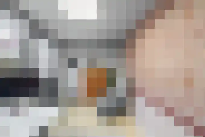 Kruiszwin 5110 Julianadorp thumbnail 13