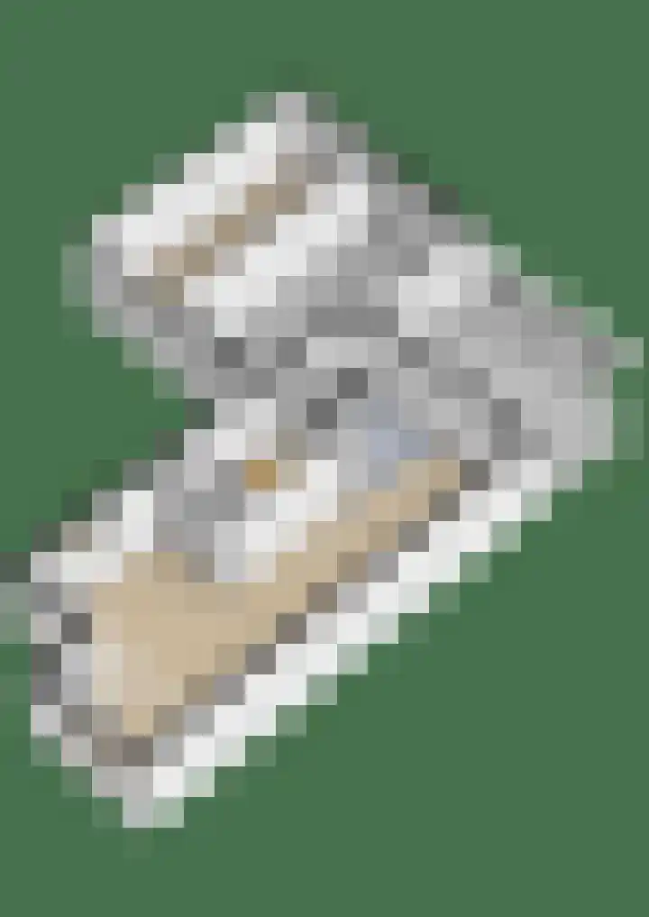 Kruiszwin 5110 Julianadorp thumbnail 27