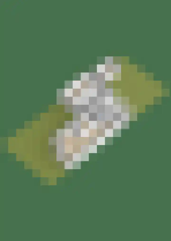 Kruiszwin 5110 Julianadorp thumbnail 35