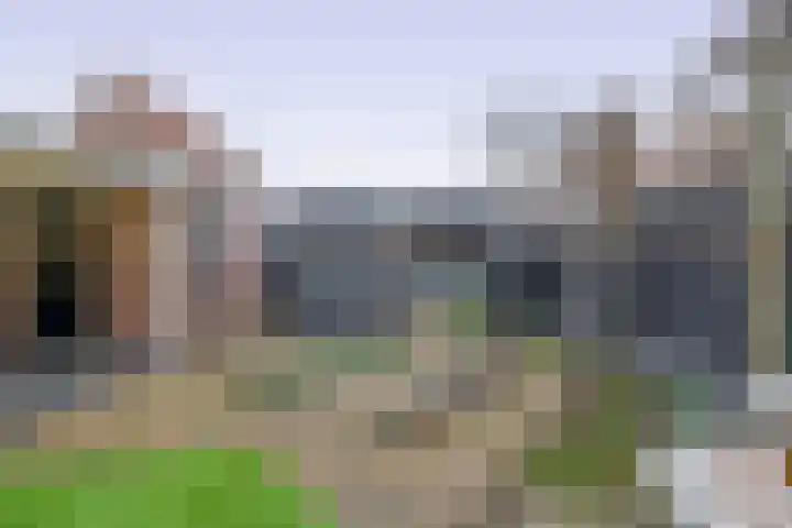 Kruiszwin 5110 Julianadorp thumbnail 9