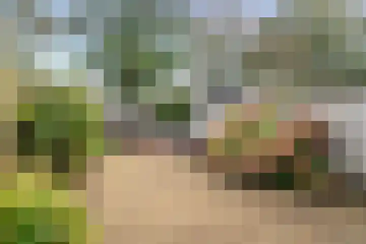 Kruiszwin 5223 Julianadorp thumbnail 10