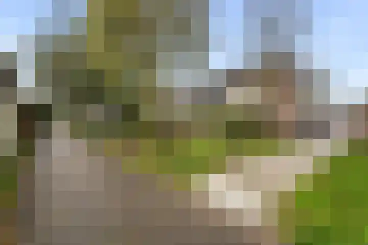 Kruiszwin 5223 Julianadorp thumbnail 11