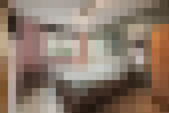 Kruiszwin 5223 Julianadorp thumbnail 12