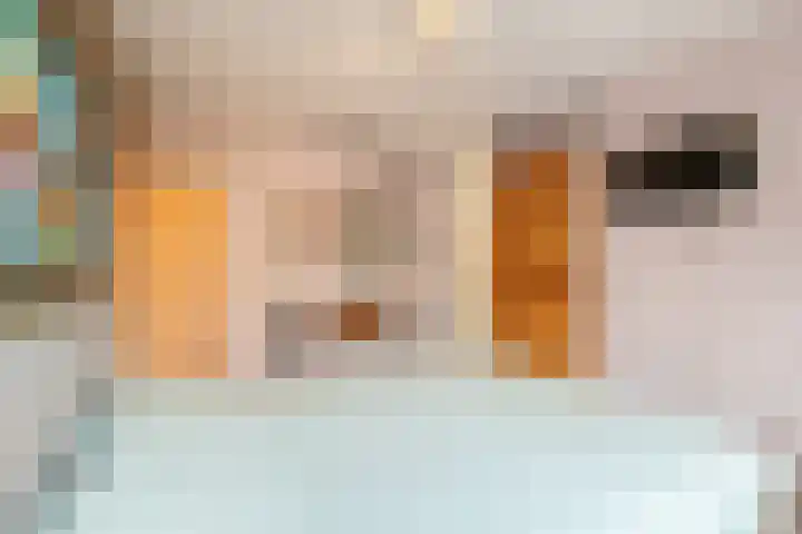 Kruiszwin 5223 Julianadorp thumbnail 13