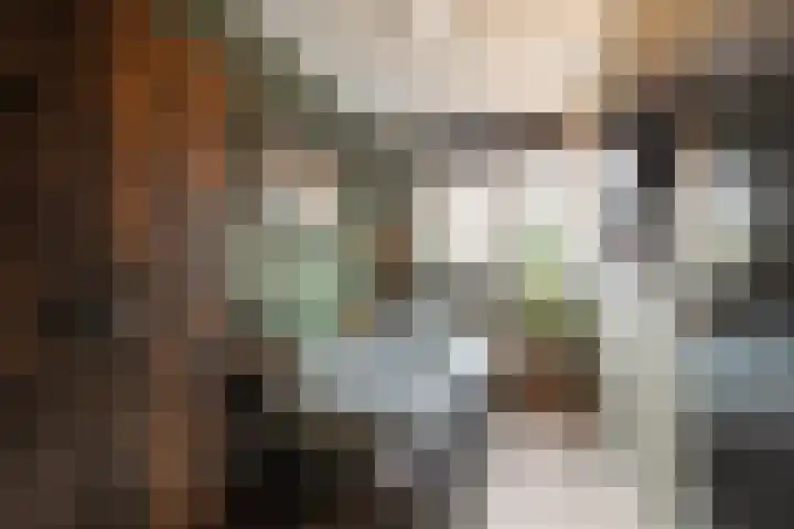 Kruiszwin 5223 Julianadorp thumbnail 14