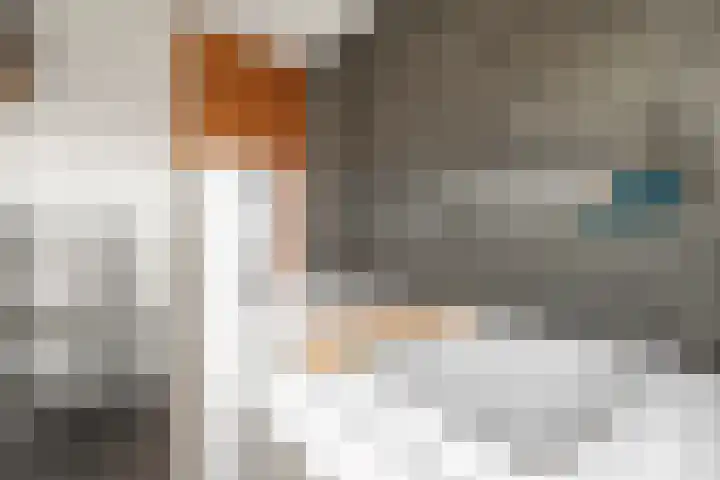 Kruiszwin 5223 Julianadorp thumbnail 16
