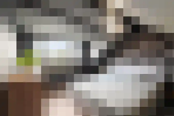 Kruiszwin 5223 Julianadorp thumbnail 19