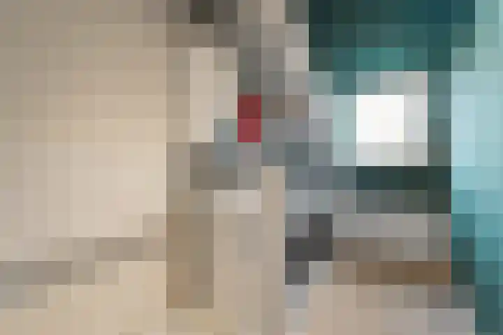 Kruiszwin 5223 Julianadorp thumbnail 20