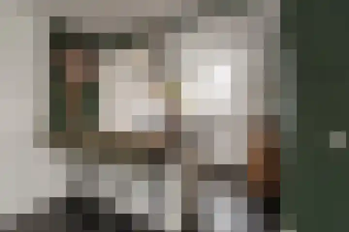Kruiszwin 5223 Julianadorp thumbnail 6