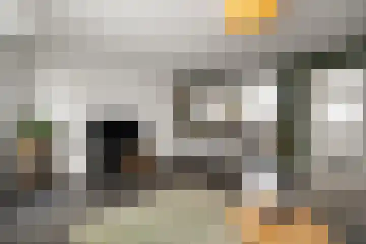 Kruiszwin 5223 Julianadorp thumbnail 7