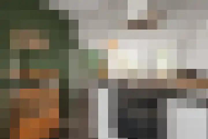 Kruiszwin 5223 Julianadorp thumbnail 8