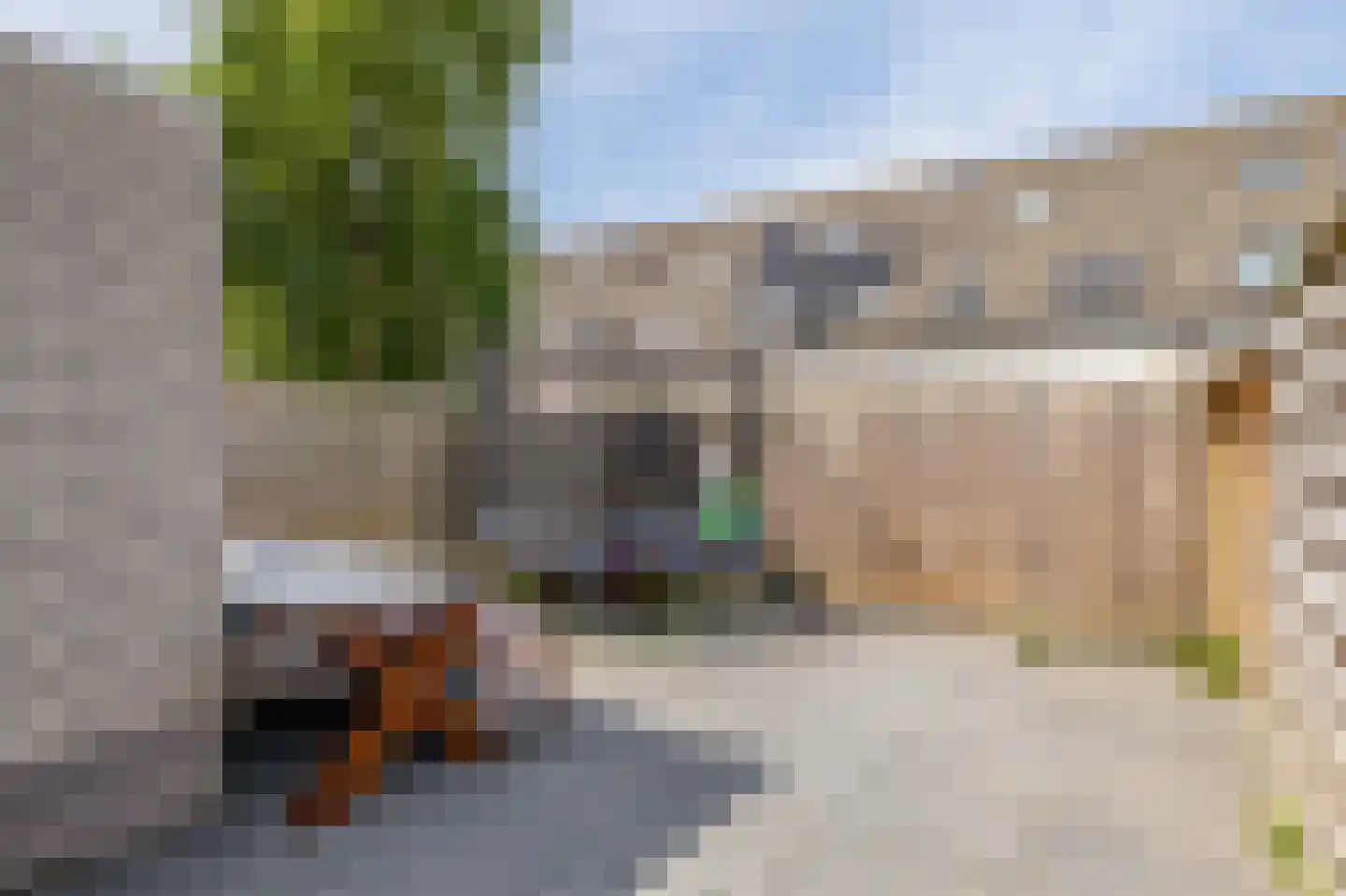 Kruiszwin 5303 Julianadorp thumbnail 19