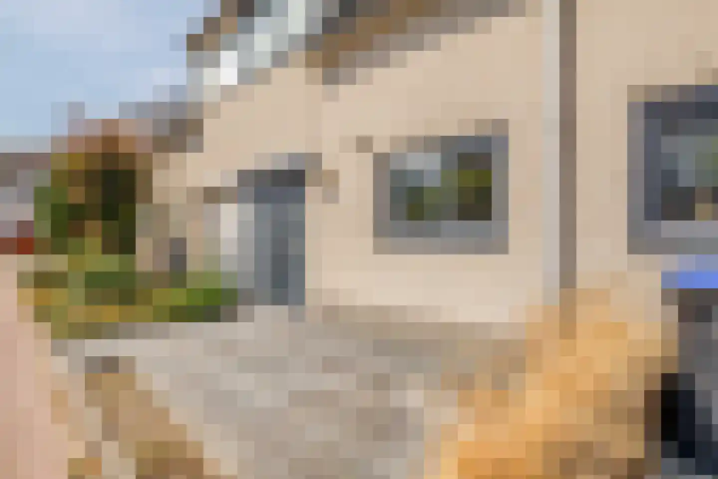 Kruiszwin 5303 Julianadorp thumbnail 4