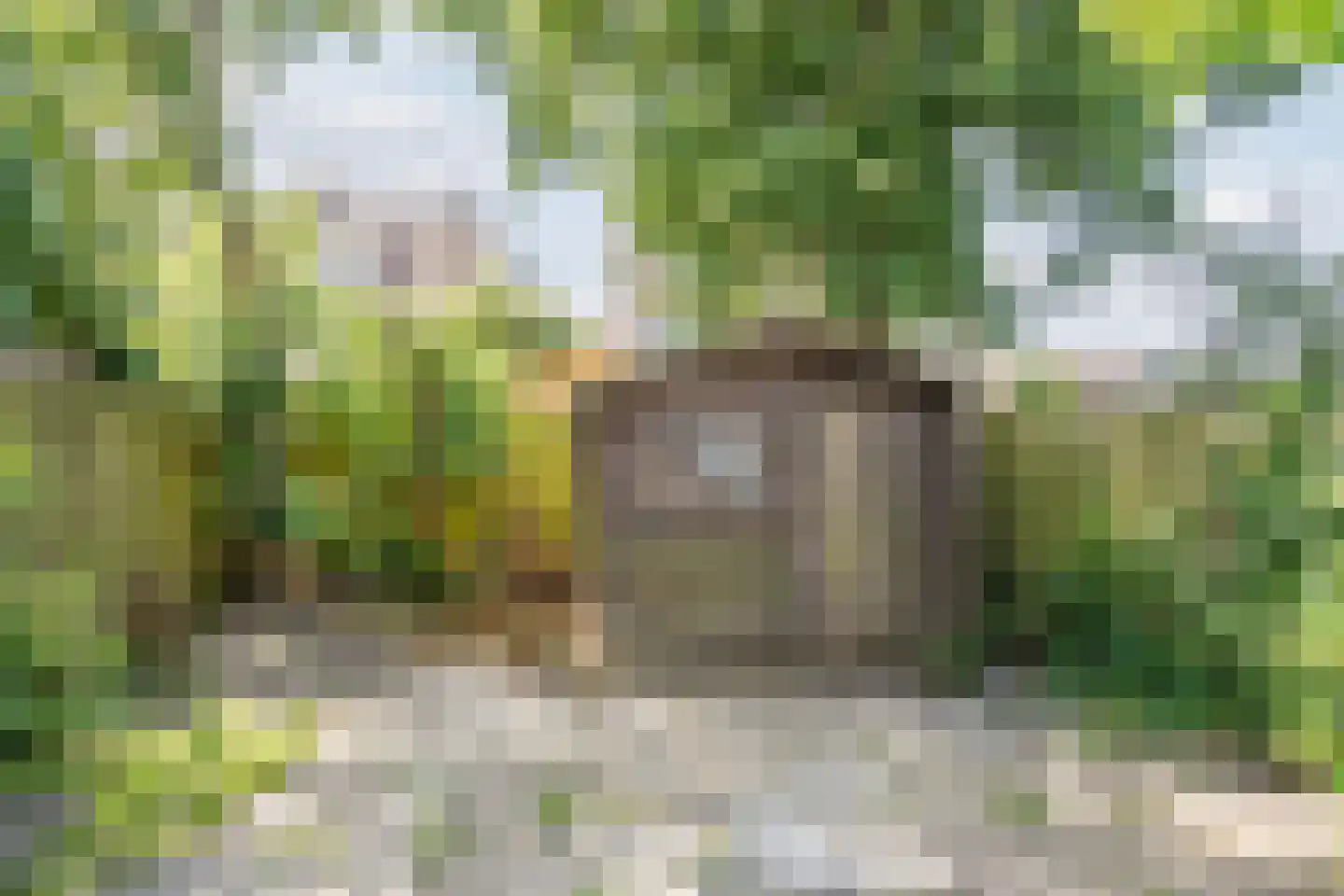 Kruiszwin 5507 Julianadorp thumbnail 51