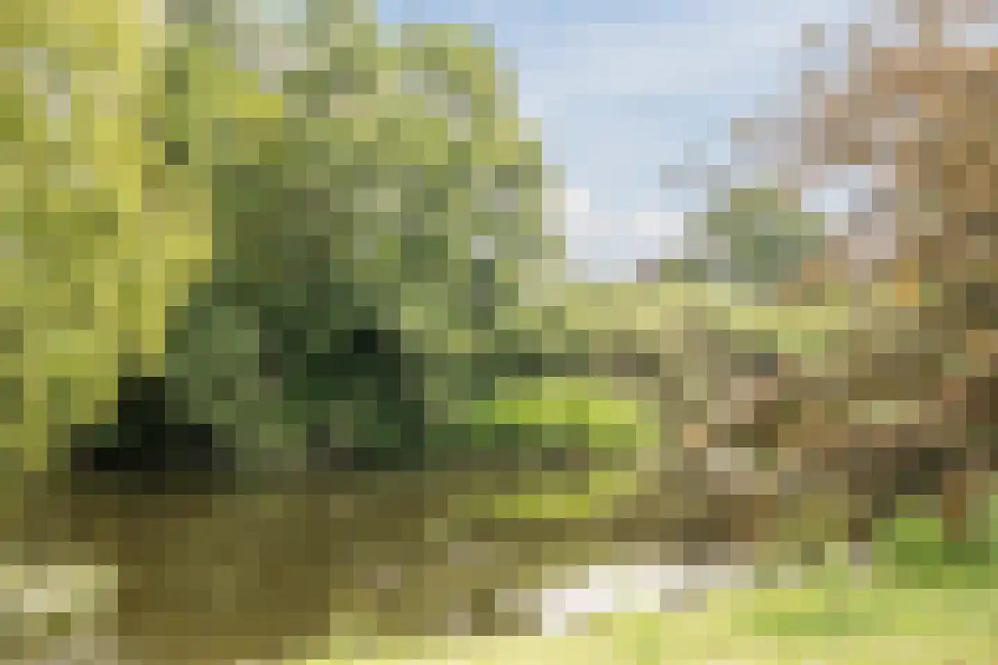 Kruiszwin 5507 Julianadorp thumbnail 55