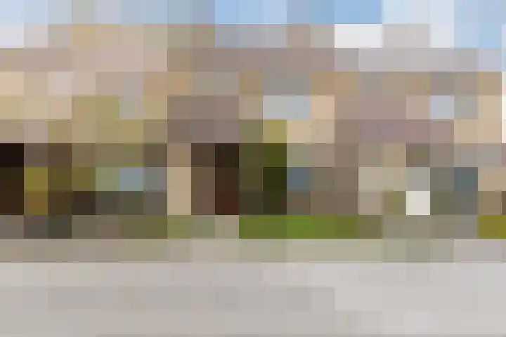 Kruiszwin 5509 Julianadorp thumbnail 4