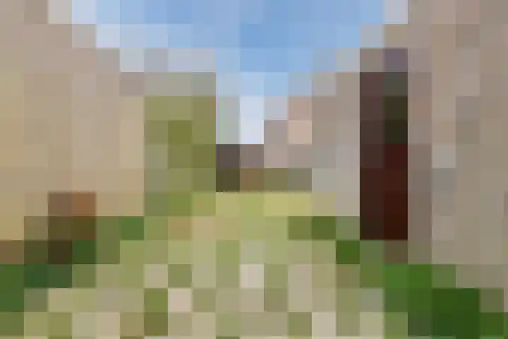 Kruiszwin 5509 Julianadorp thumbnail 44