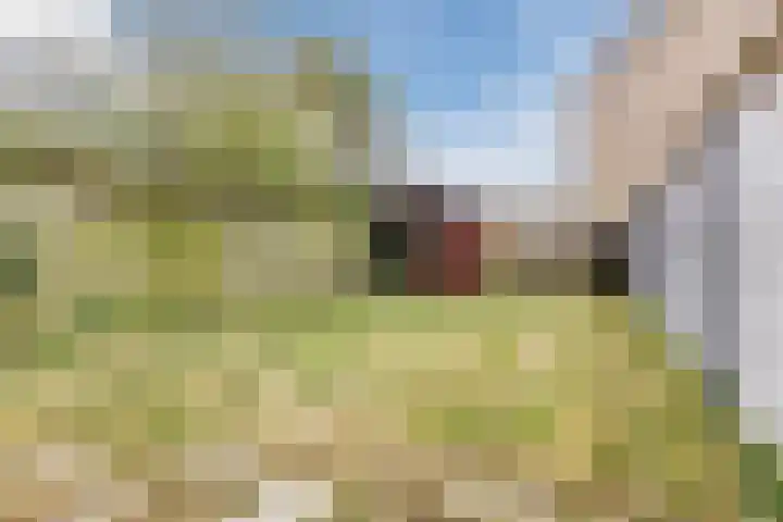 Kruiszwin 5509 Julianadorp thumbnail 47