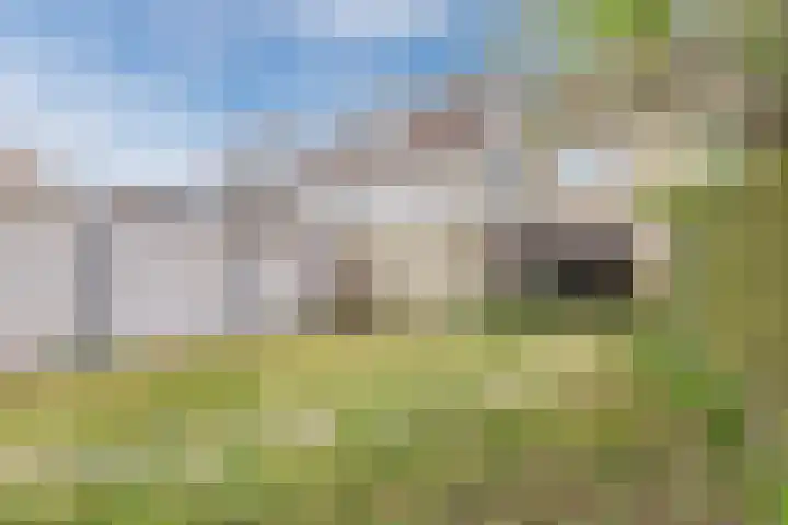 Kruiszwin 5509 Julianadorp thumbnail 51