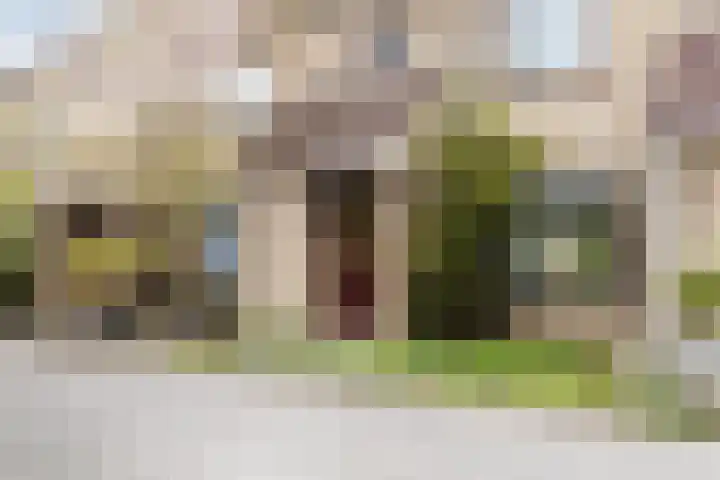 Kruiszwin 5509 Julianadorp thumbnail 6