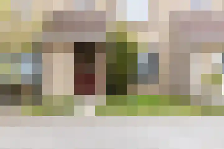 Kruiszwin 5509 Julianadorp thumbnail 7