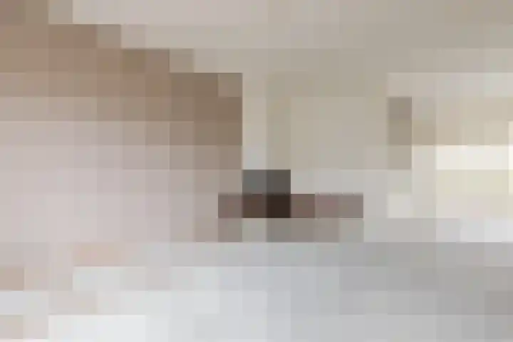 Kruiszwin 5604 Julianadorp thumbnail 10