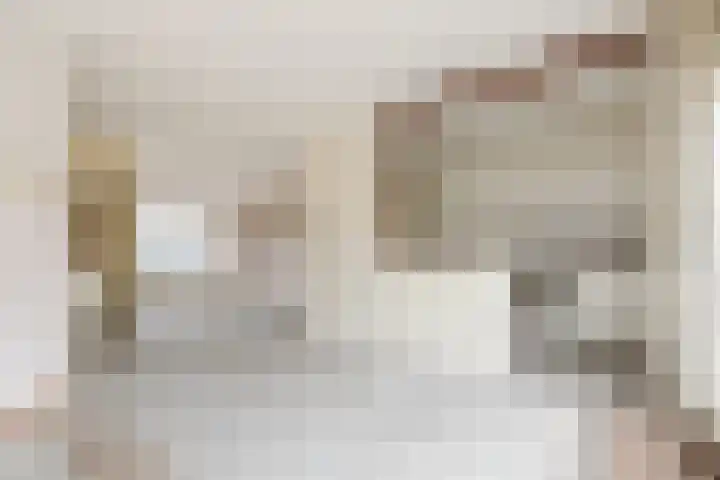 Kruiszwin 5604 Julianadorp thumbnail 14