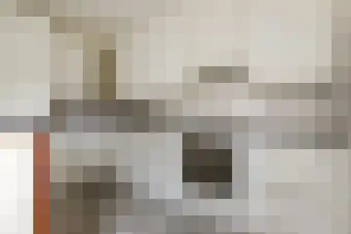 Kruiszwin 5604 Julianadorp thumbnail 15