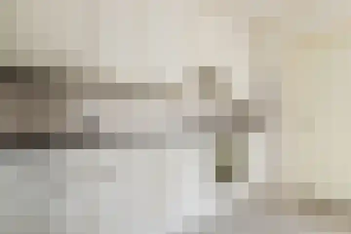 Kruiszwin 5604 Julianadorp thumbnail 17