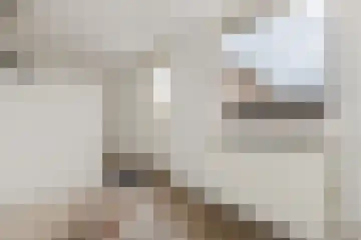 Kruiszwin 5604 Julianadorp thumbnail 18