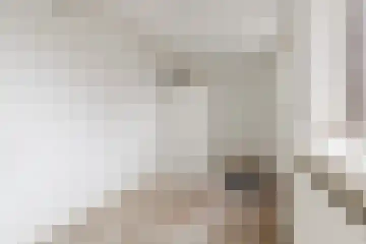 Kruiszwin 5604 Julianadorp thumbnail 19