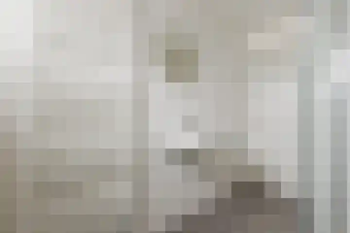 Kruiszwin 5604 Julianadorp thumbnail 37