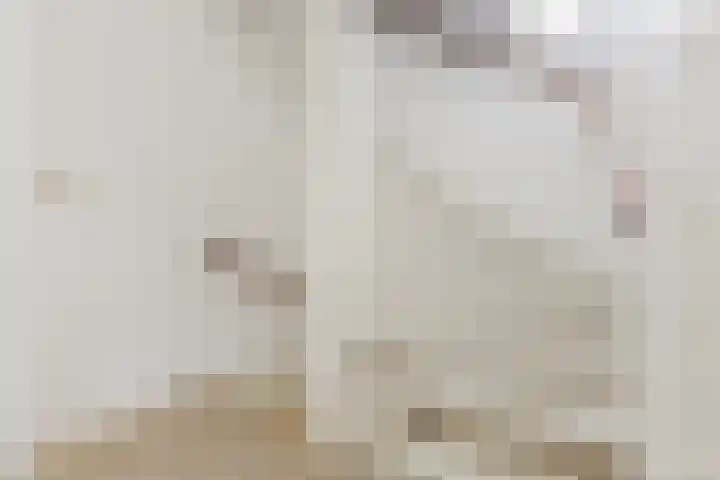 Kruiszwin 5604 Julianadorp thumbnail 38