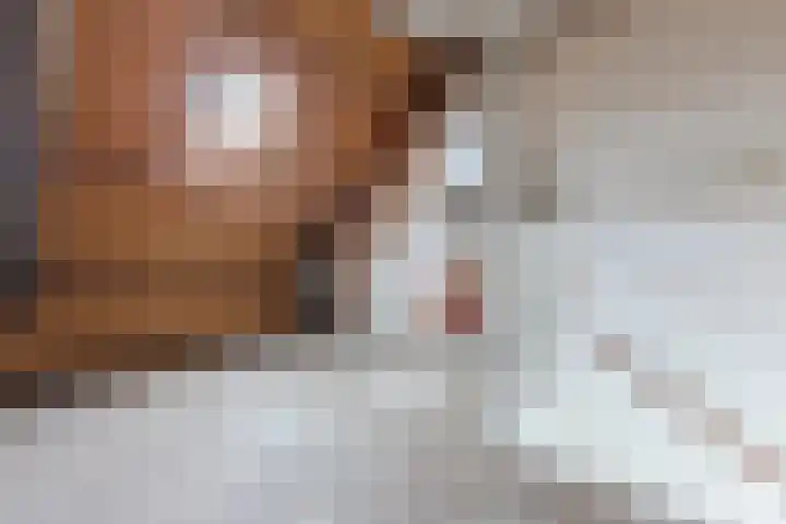Kruiszwin 5604 Julianadorp thumbnail 43