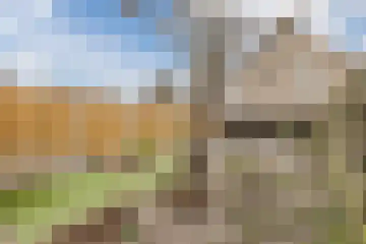 Kruiszwin 5604 Julianadorp thumbnail 49