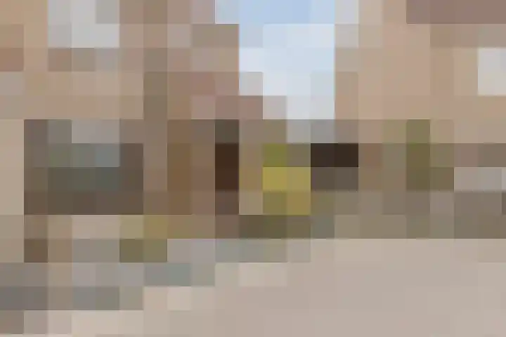 Kruiszwin 5604 Julianadorp thumbnail 5