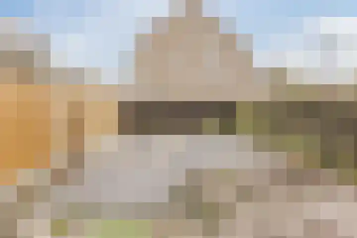 Kruiszwin 5604 Julianadorp thumbnail 50