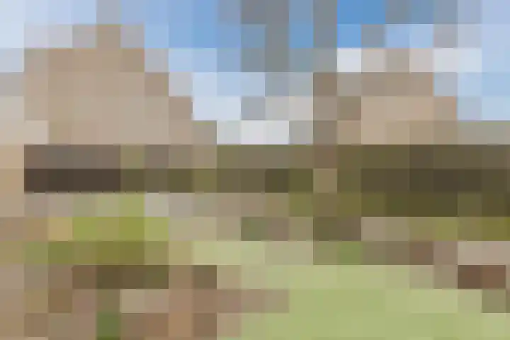 Kruiszwin 5604 Julianadorp thumbnail 51