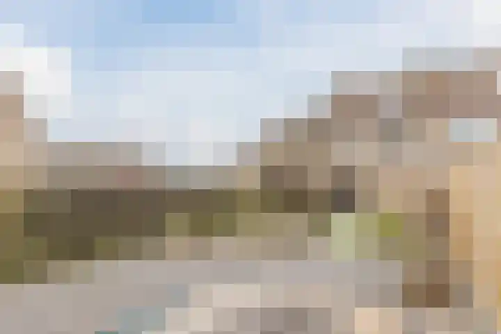 Kruiszwin 5604 Julianadorp thumbnail 52