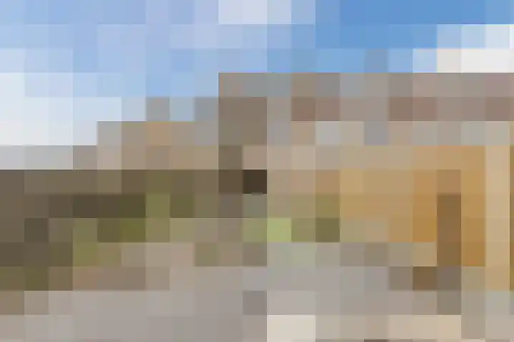 Kruiszwin 5604 Julianadorp thumbnail 53