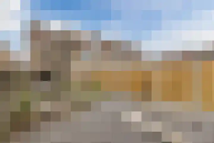 Kruiszwin 5604 Julianadorp thumbnail 54
