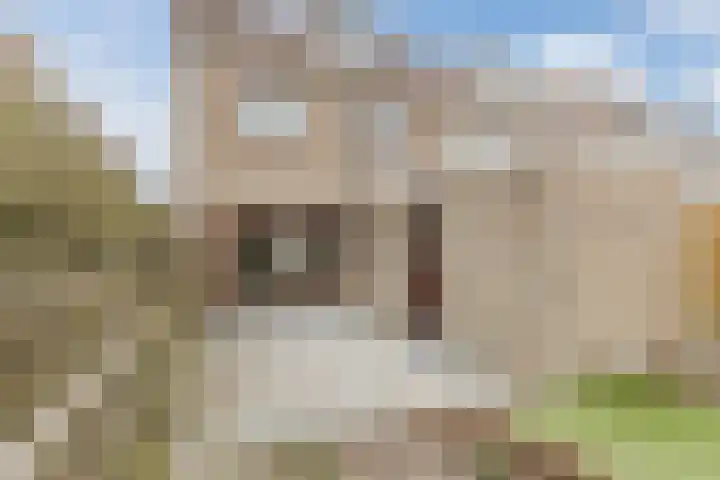 Kruiszwin 5604 Julianadorp thumbnail 55