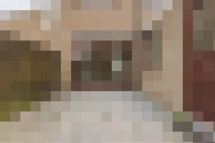 Kruiszwin 5604 Julianadorp thumbnail 56
